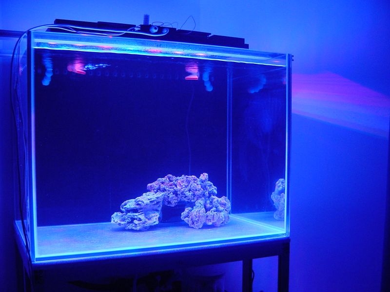 foco leds diy26