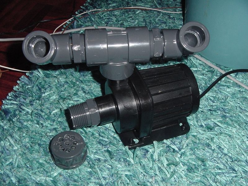 circulacao cogumelo1