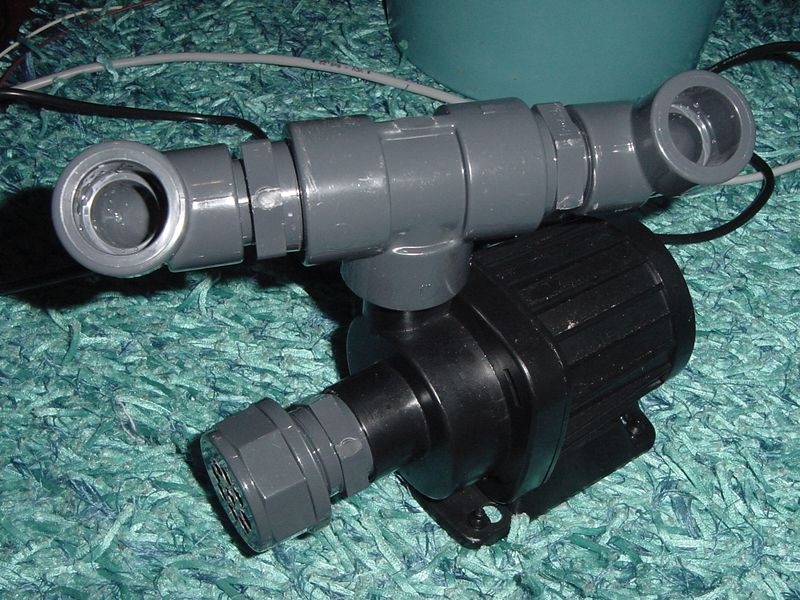 circulacao cogumelo2