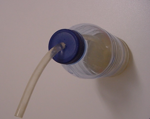 bottle feed1 25042014