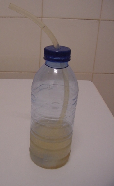 bottle feed2 25042014