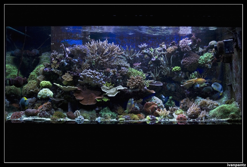 CS 2012 10 12 Aqua 01[1]