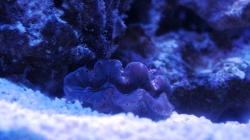 DSC01872