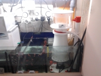 Escumador BM curve 9