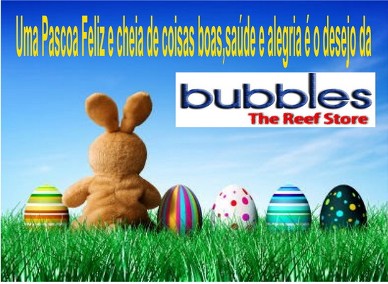 Imagem 1589
