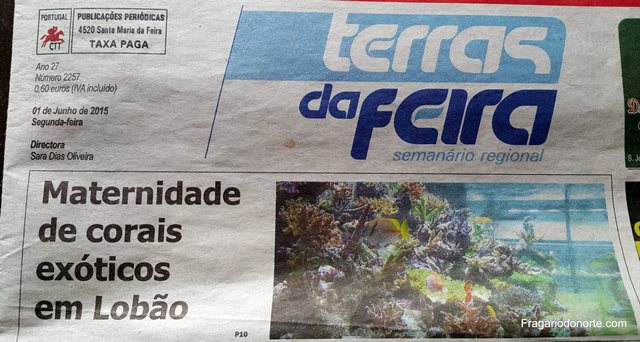Imagem 4745
