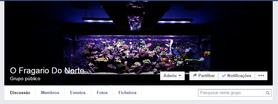 Imagem 4807