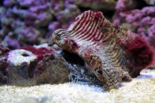 IMG 9365 (1024x683) IMG 9365 (1024x683)