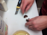 cortar anemona  (5)